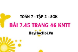 Bài 7.45 trang 46 Toán 7 Tập 2 Kết nối tri thức